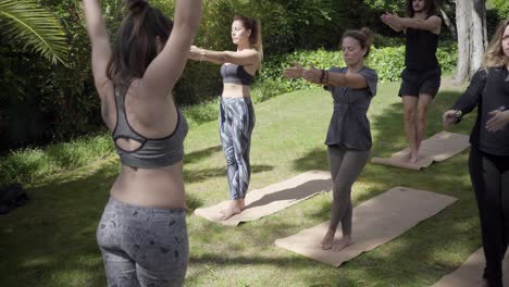 Yoga-group-training-together-in-park